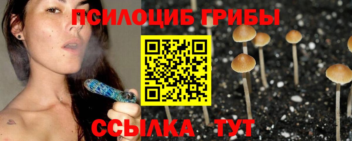Галлюциногенные грибы ЛСД Всеволожск